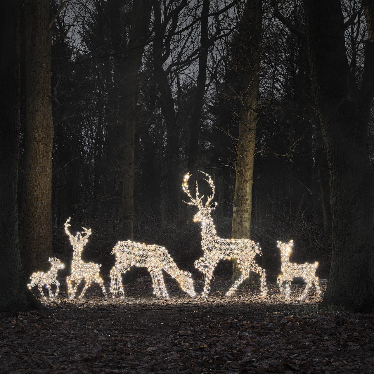 Dual LED Studley XL Light Up Reindeer Family