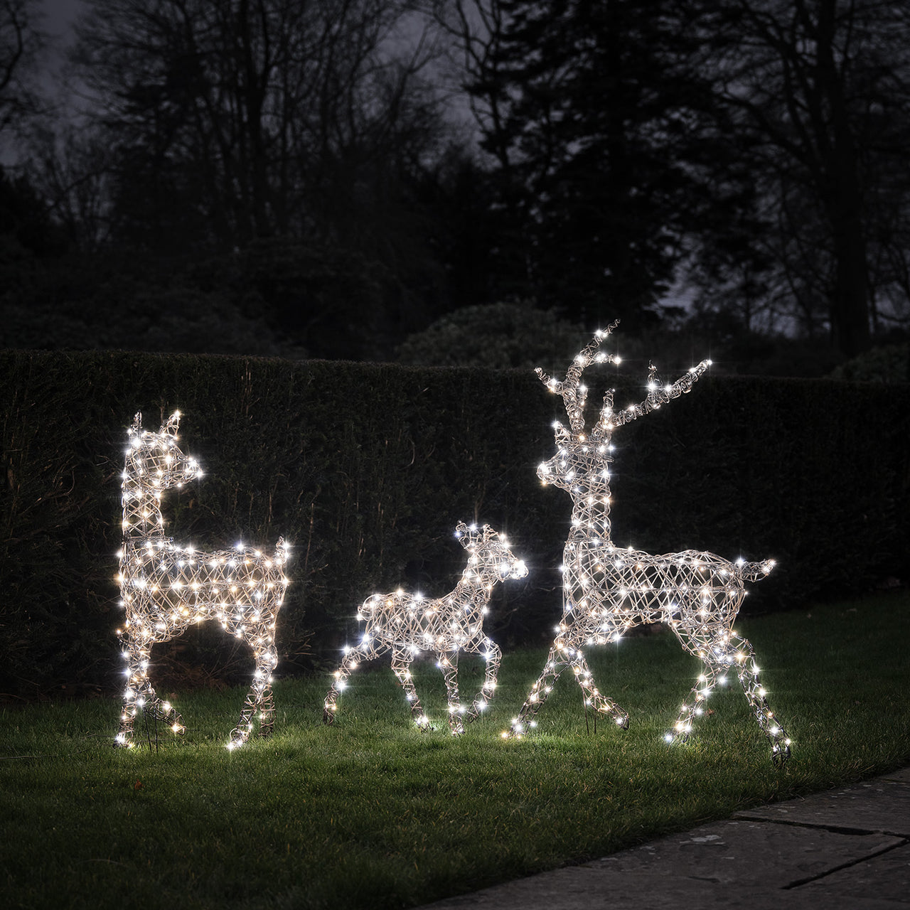 Solar Powered Studley Dual Colour LED Studley Light Up Reindeer Family