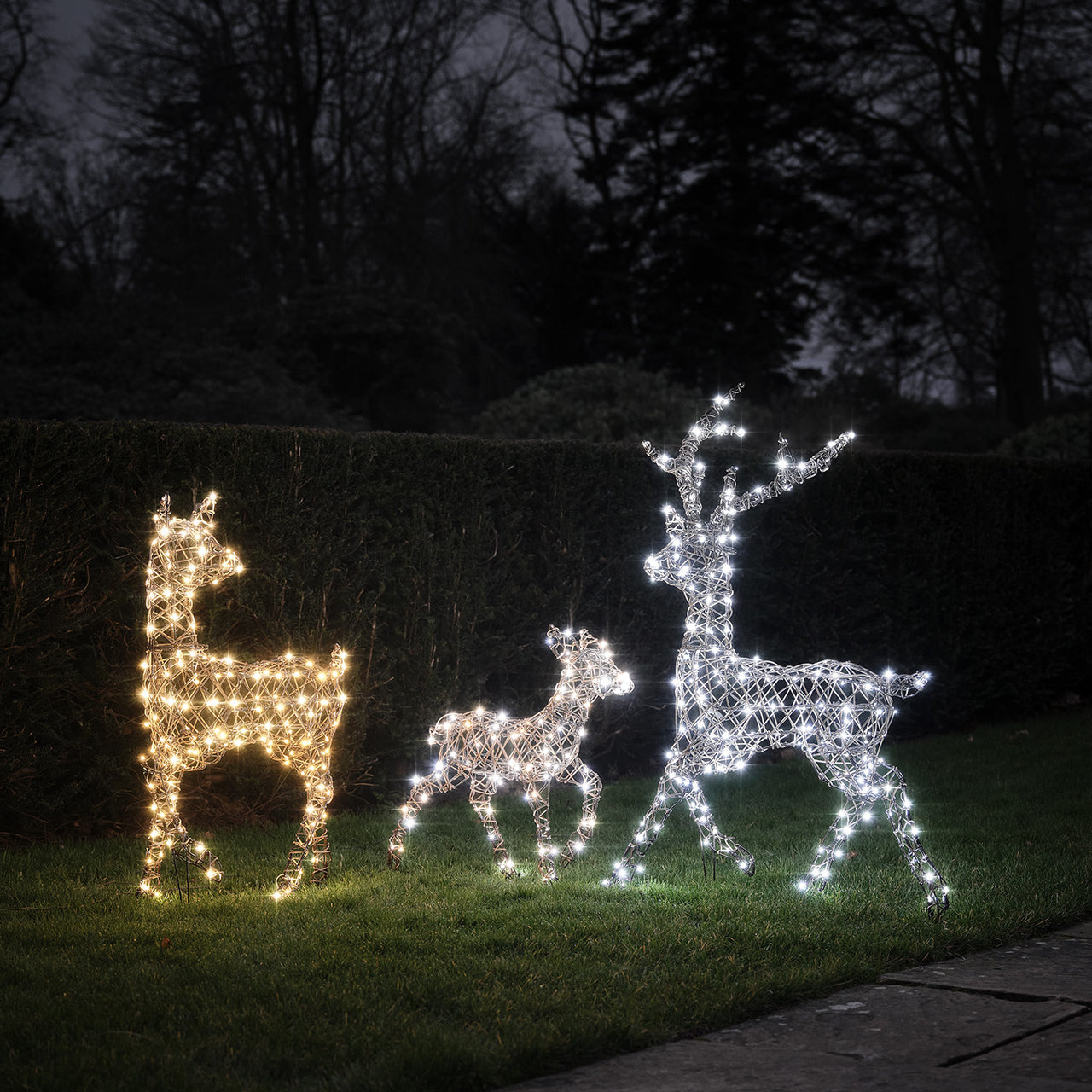 Solar Powered Studley Dual Colour LED Studley Light Up Reindeer Family