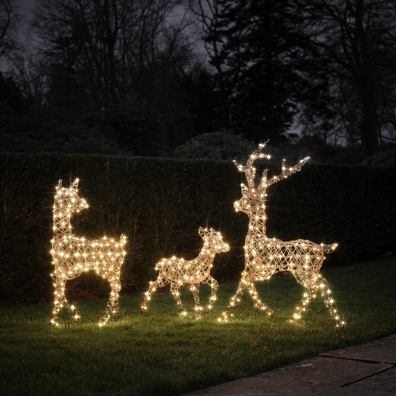 Solar Powered Studley Dual Colour LED Studley Light Up Reindeer Family