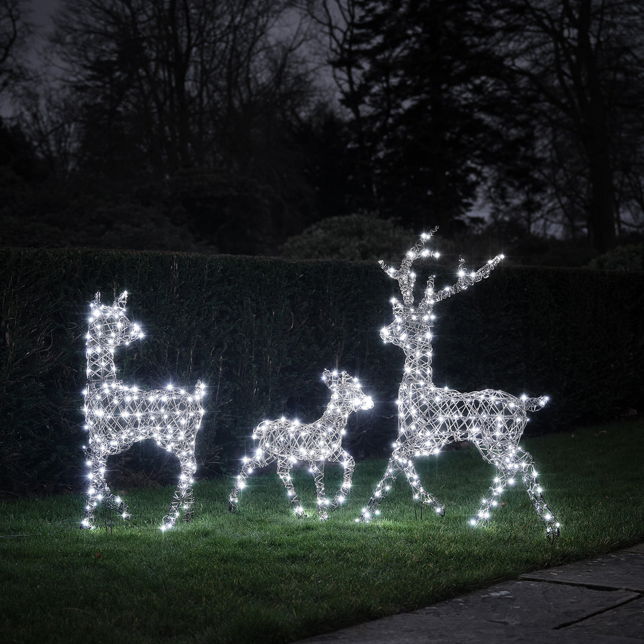 Solar Powered Studley Dual Colour LED Studley Light Up Reindeer Family