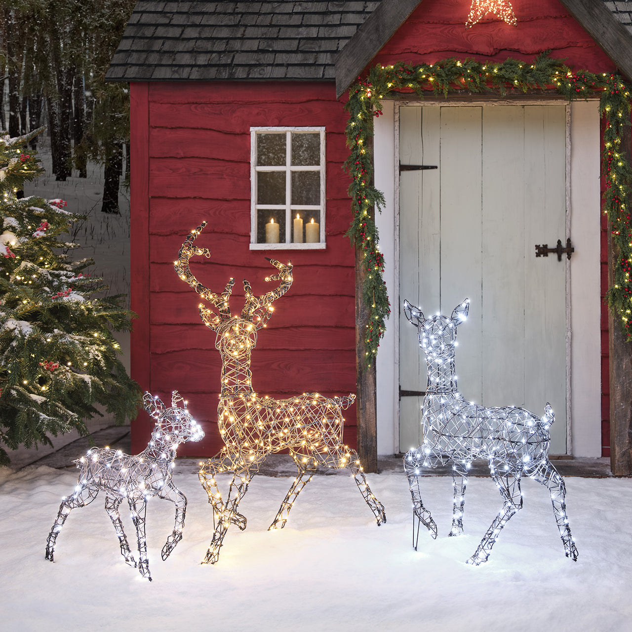 Dual LED Studley Light Up Reindeer Family