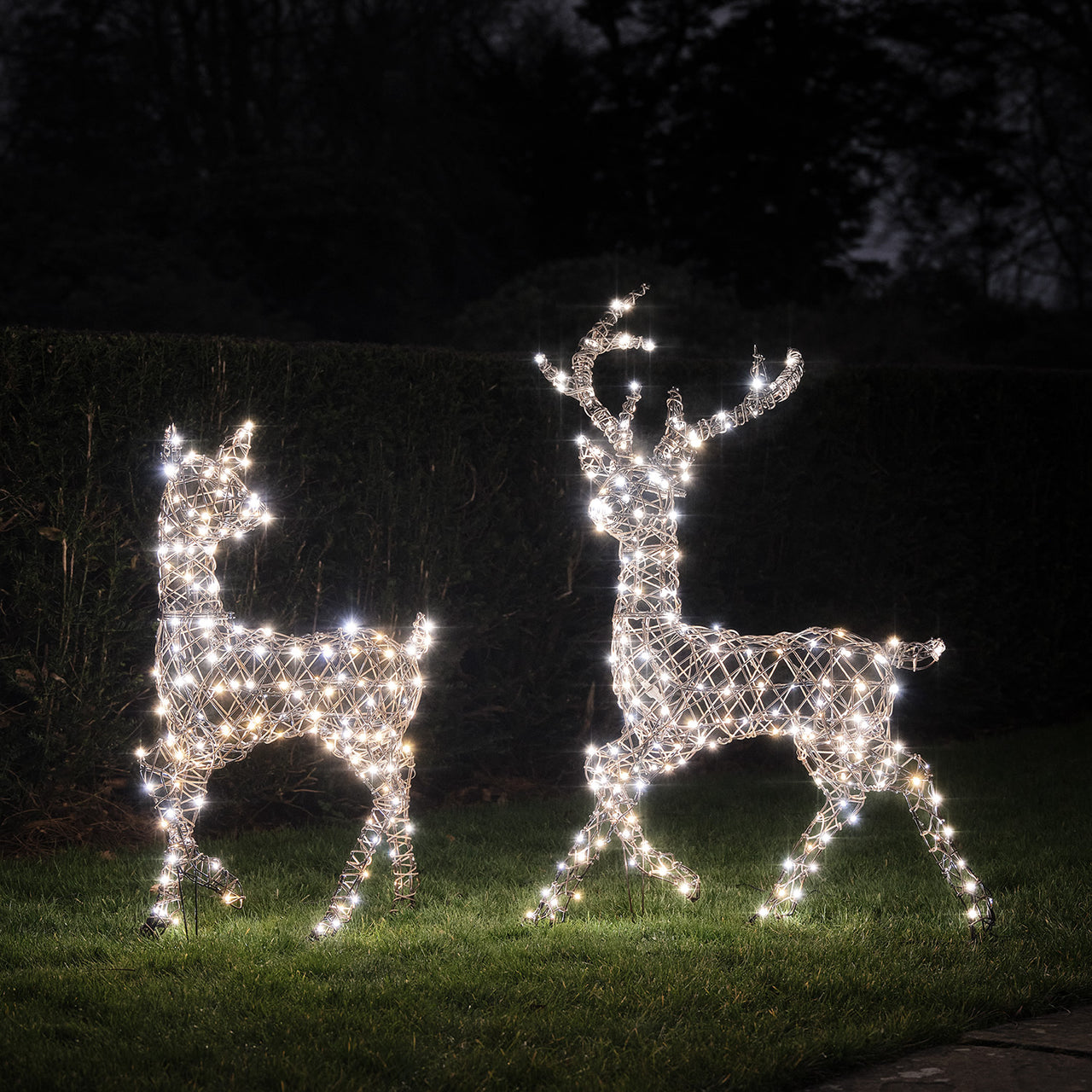 Solar Powered  Studley Stag & Doe Dual Colour LED Light Up Reindeer Duo