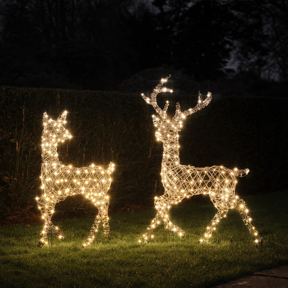 Dual LED Studley Stag & Doe Light Up Reindeer Duo