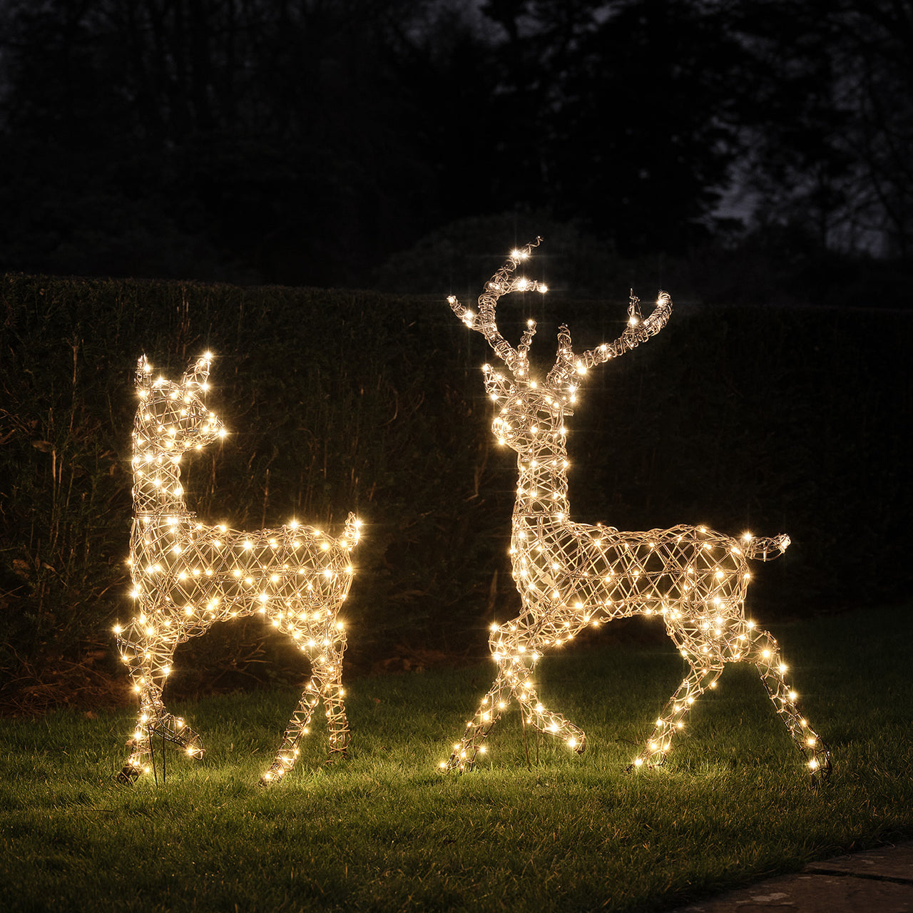 Solar Powered  Studley Stag & Doe Dual Colour LED Light Up Reindeer Duo