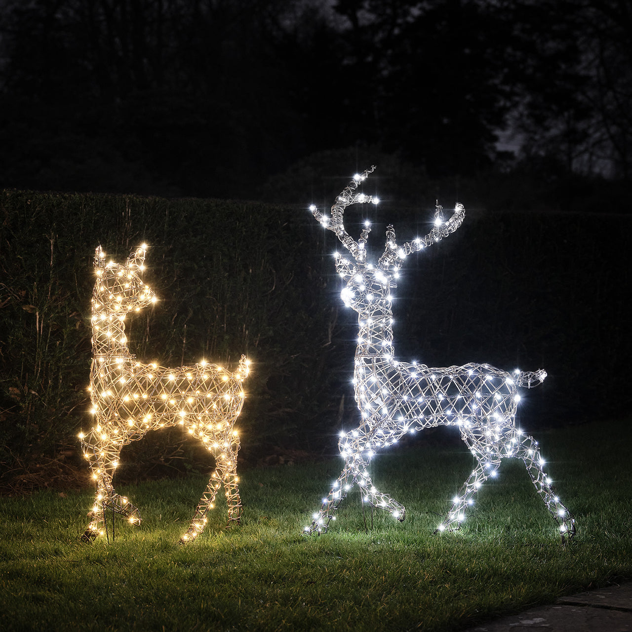 Solar Powered  Studley Stag & Doe Dual Colour LED Light Up Reindeer Duo