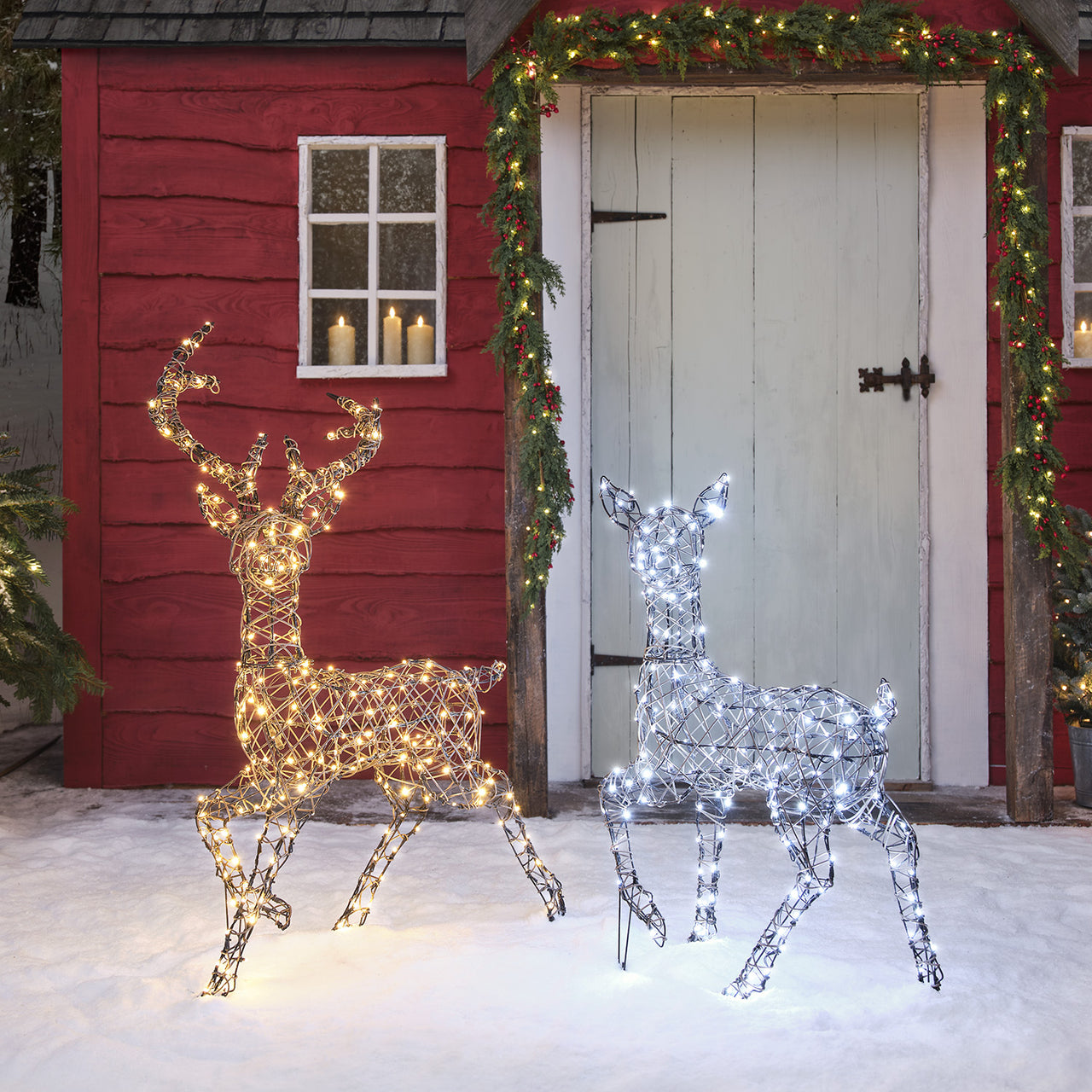 Solar Powered  Studley Stag & Doe Dual Colour LED Light Up Reindeer Duo