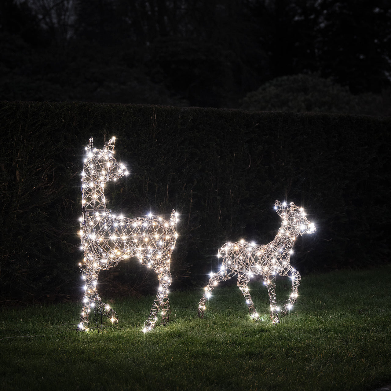 Dual LED Studley Doe & Fawn Light Up Reindeer Duo