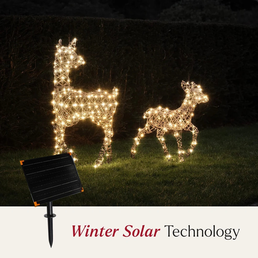 Solar Powered Dual LED Studley Doe & Fawn Light Up Reindeer Duo
