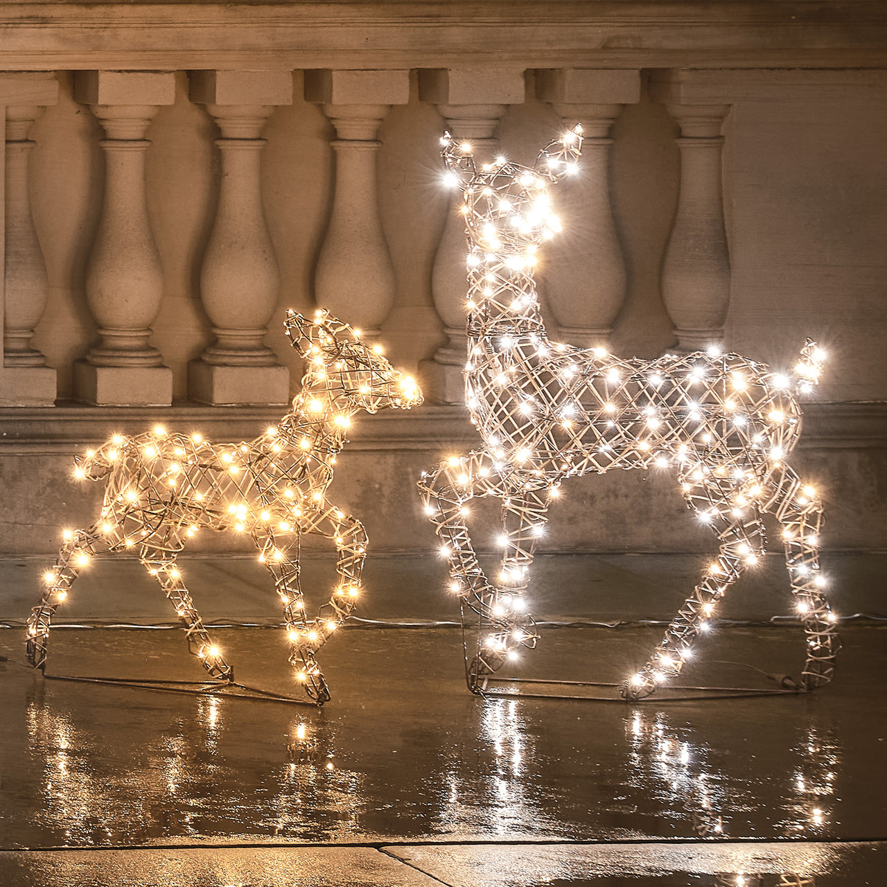 Dual LED Studley Doe & Fawn Light Up Reindeer Duo