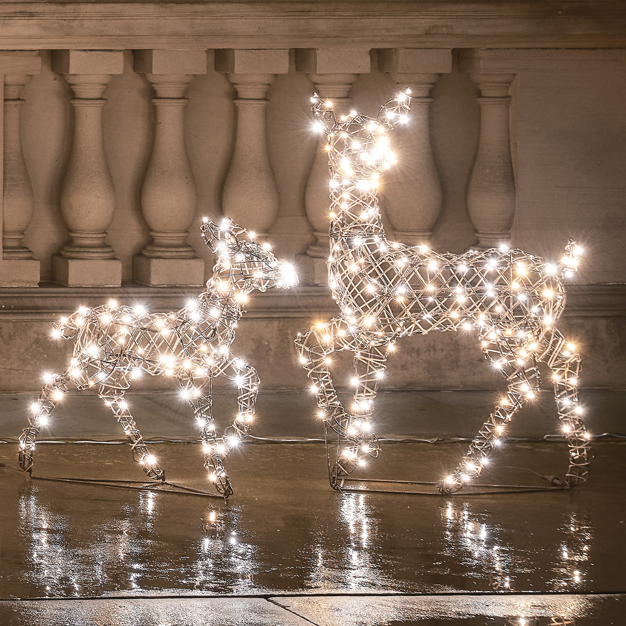 Dual LED Studley Doe & Fawn Light Up Reindeer Duo