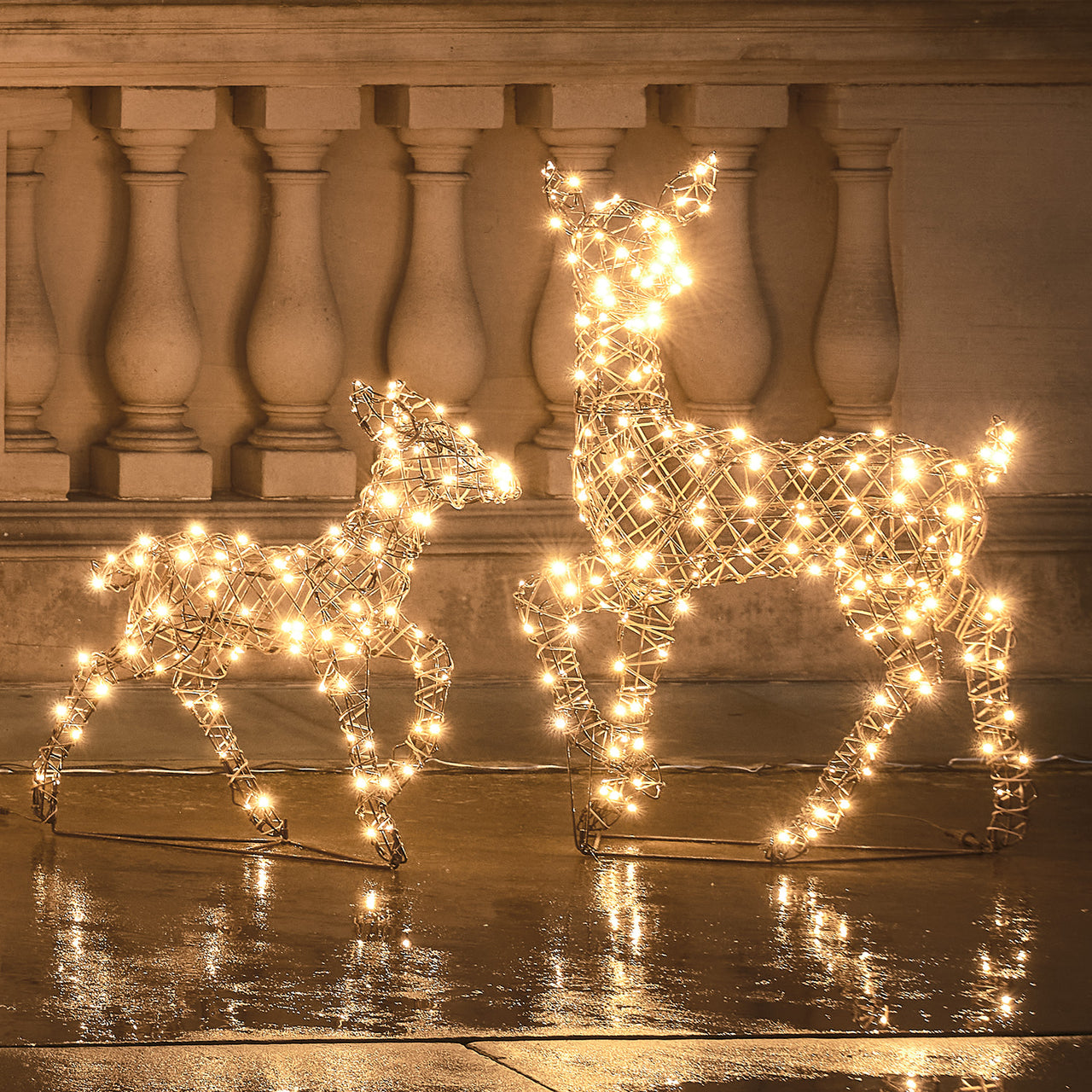 Dual LED Studley Doe & Fawn Light Up Reindeer Duo