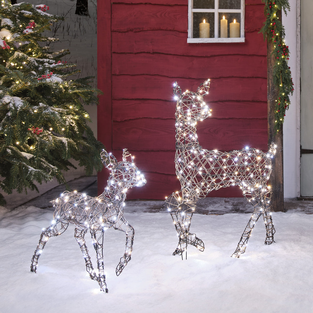 Dual LED Studley Doe & Fawn Light Up Reindeer Duo