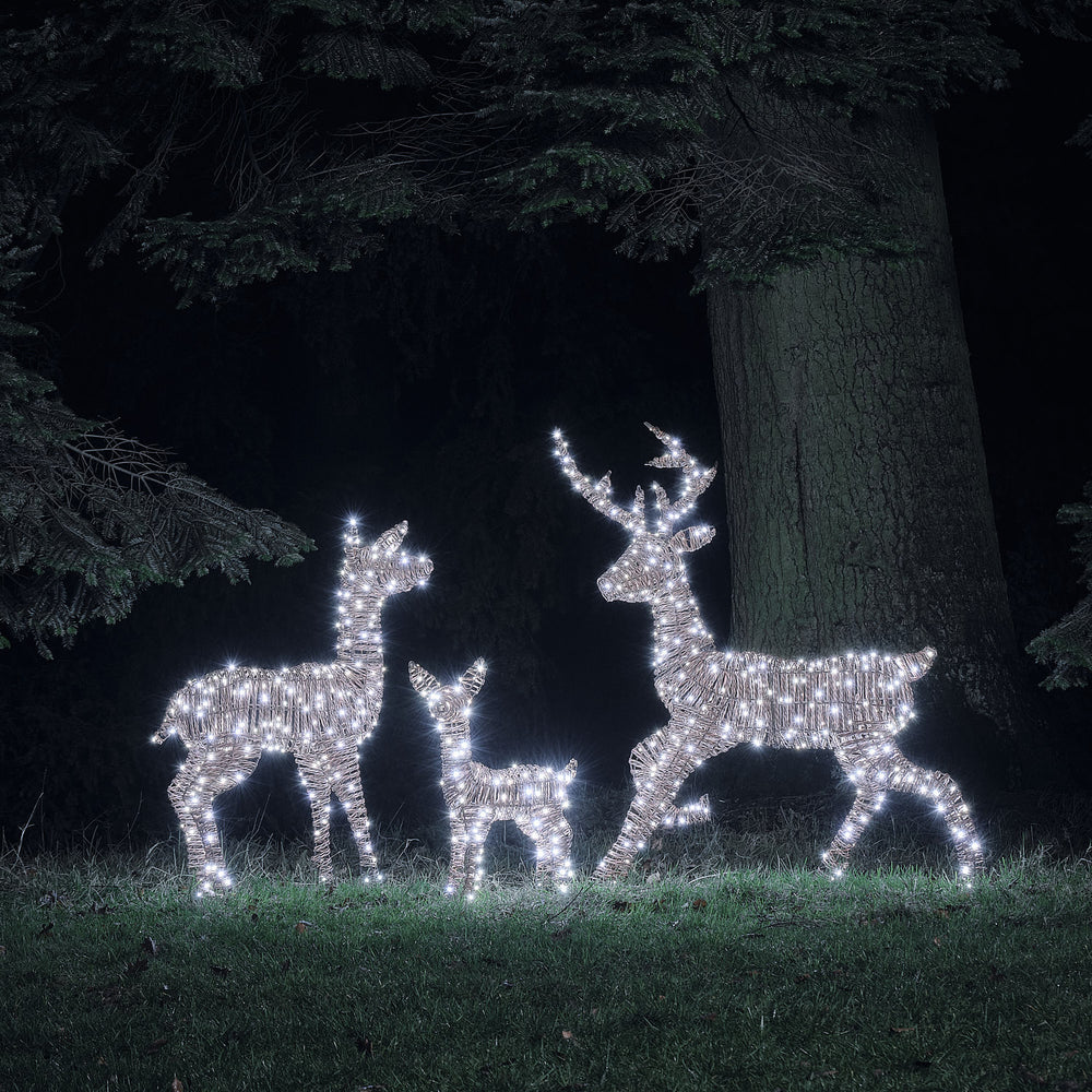 Pateley Dual LED Rattan Stag, Fawn & Doe Light Up Reindeer Family
