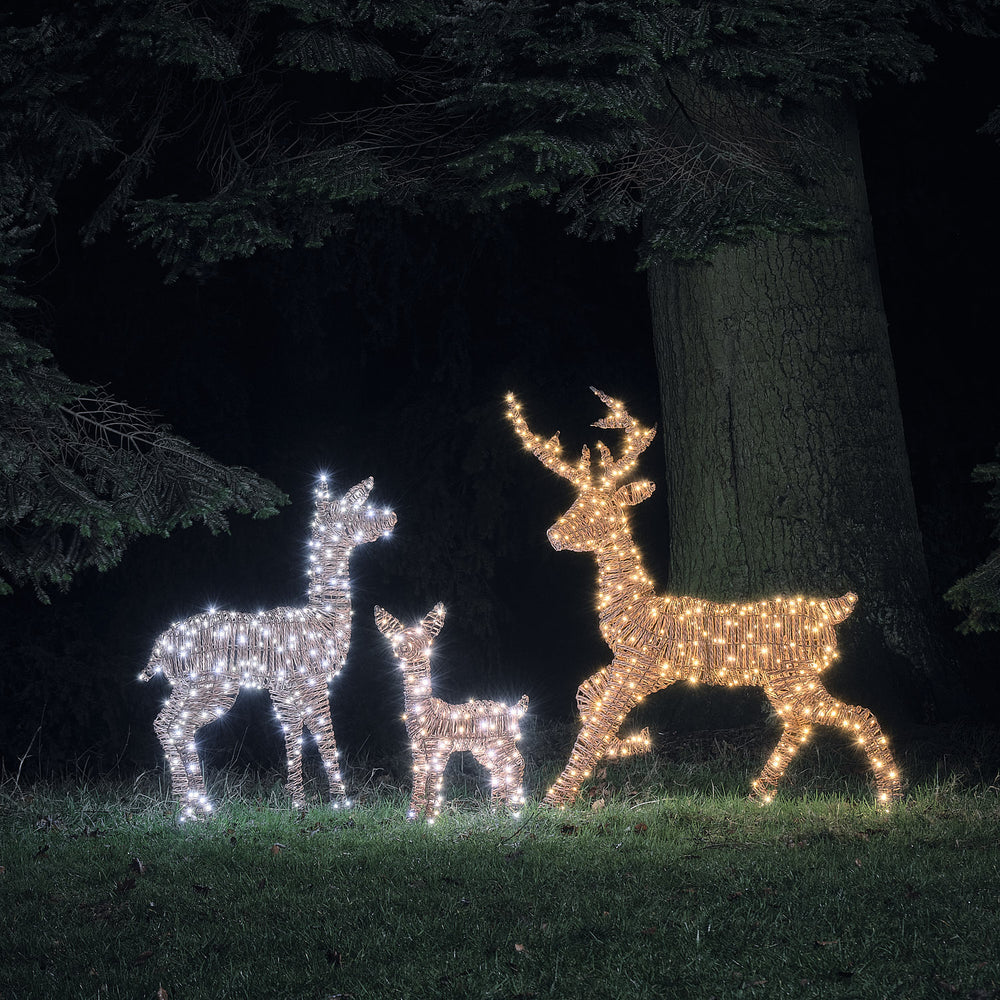 Pateley Dual LED Rattan Stag, Fawn & Doe Light Up Reindeer Family