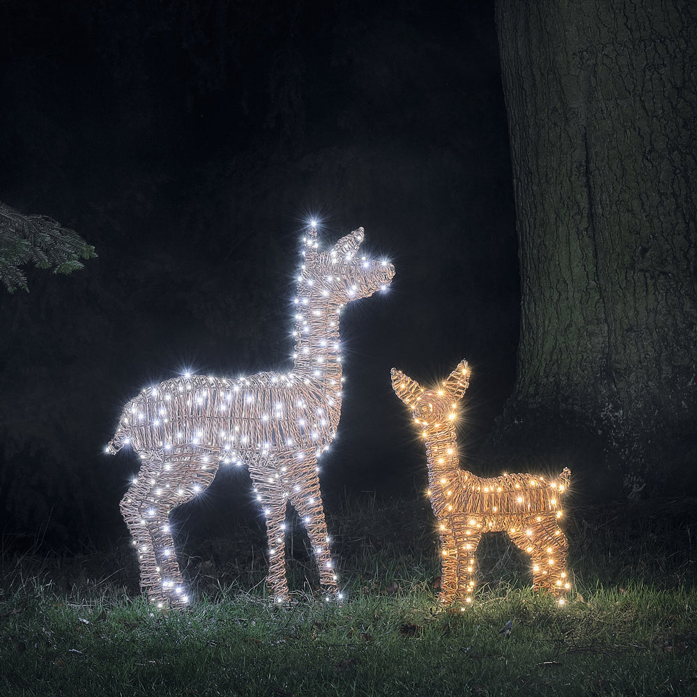 Pateley Dual LED Rattan Fawn & Doe Light Up Reindeer Duo