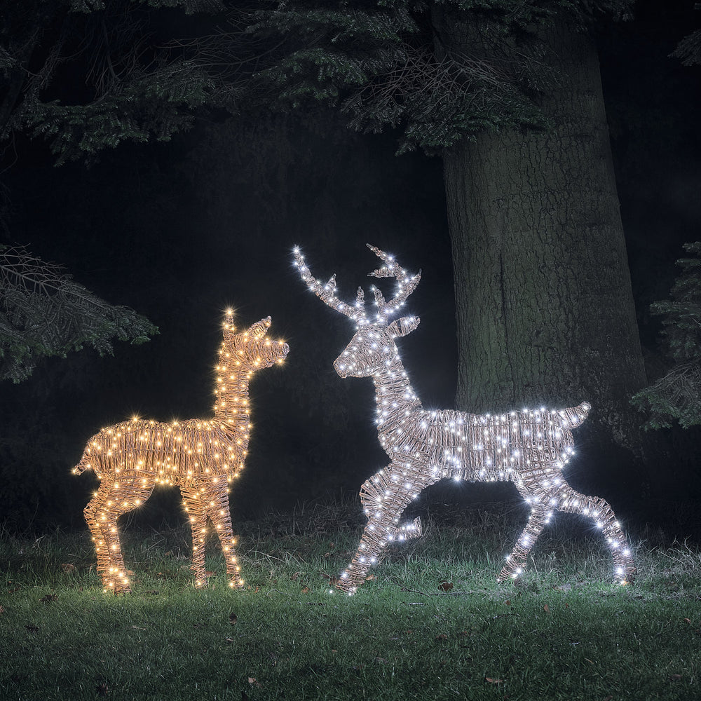 Pateley Dual LED Rattan Stag & Doe Light Up Reindeer Duo