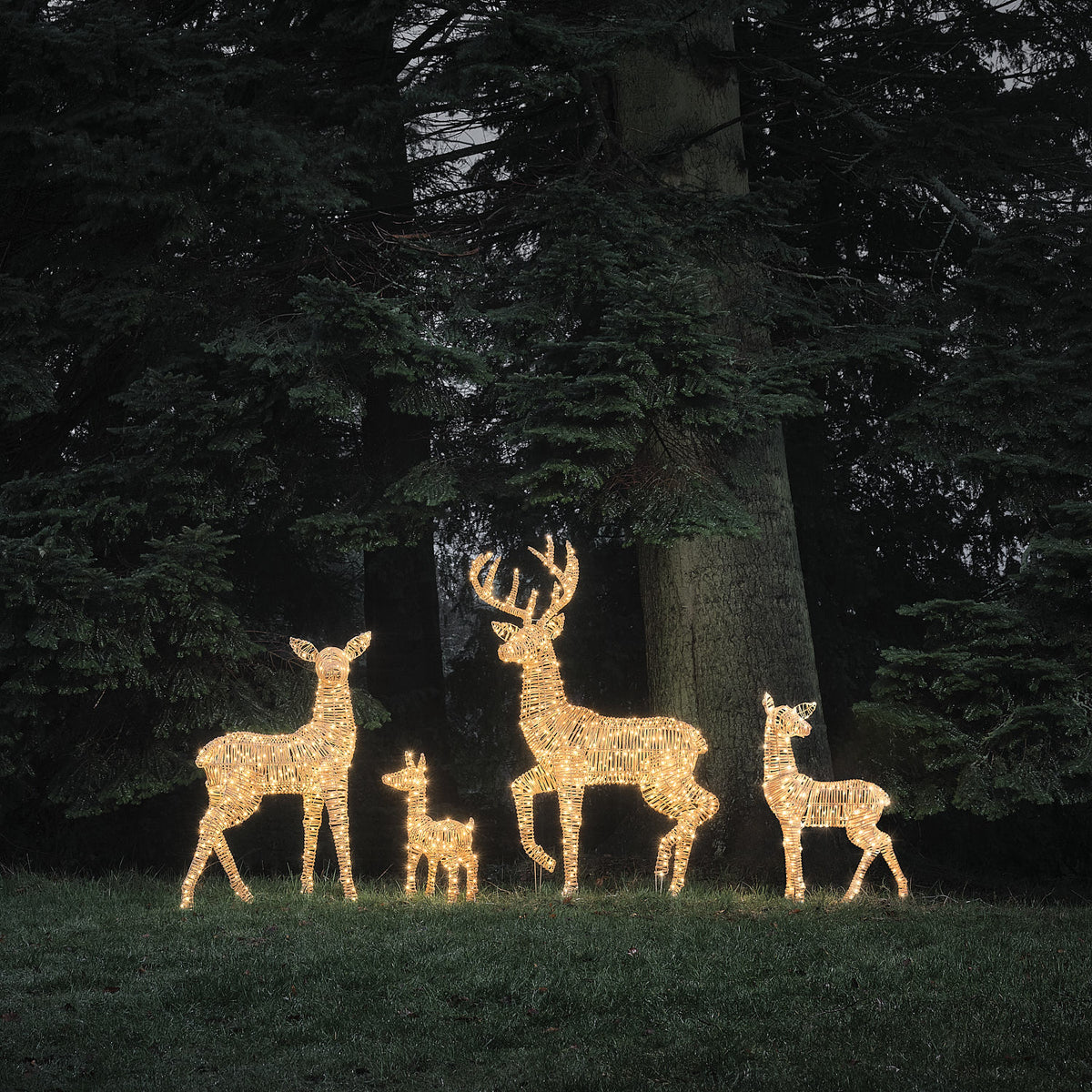 Leyburn Dual LED Rattan Set of 4 Light Up Reindeer Family