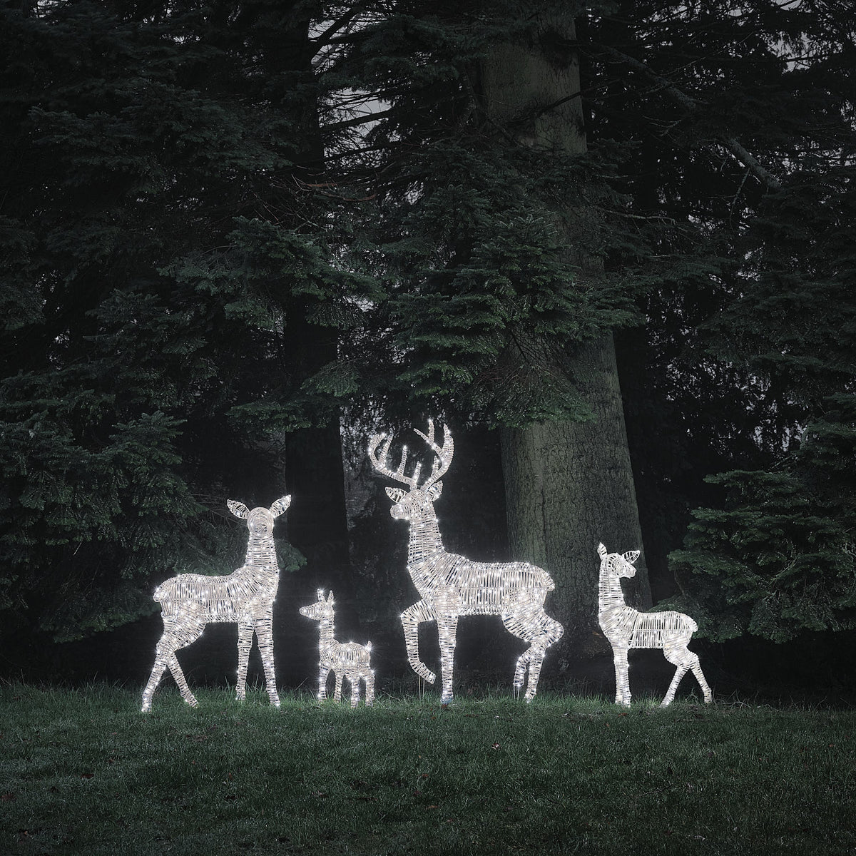 Leyburn Dual LED Rattan Set of 4 Light Up Reindeer Family