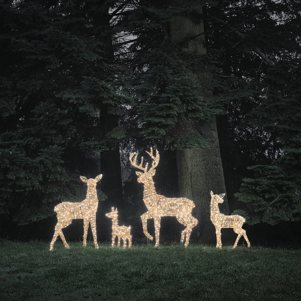 Leyburn Dual LED Rattan Set of 4 Light Up Reindeer Family