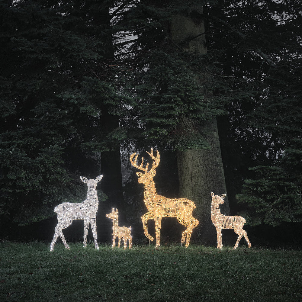 Leyburn Dual LED Rattan Set of 4 Light Up Reindeer Family