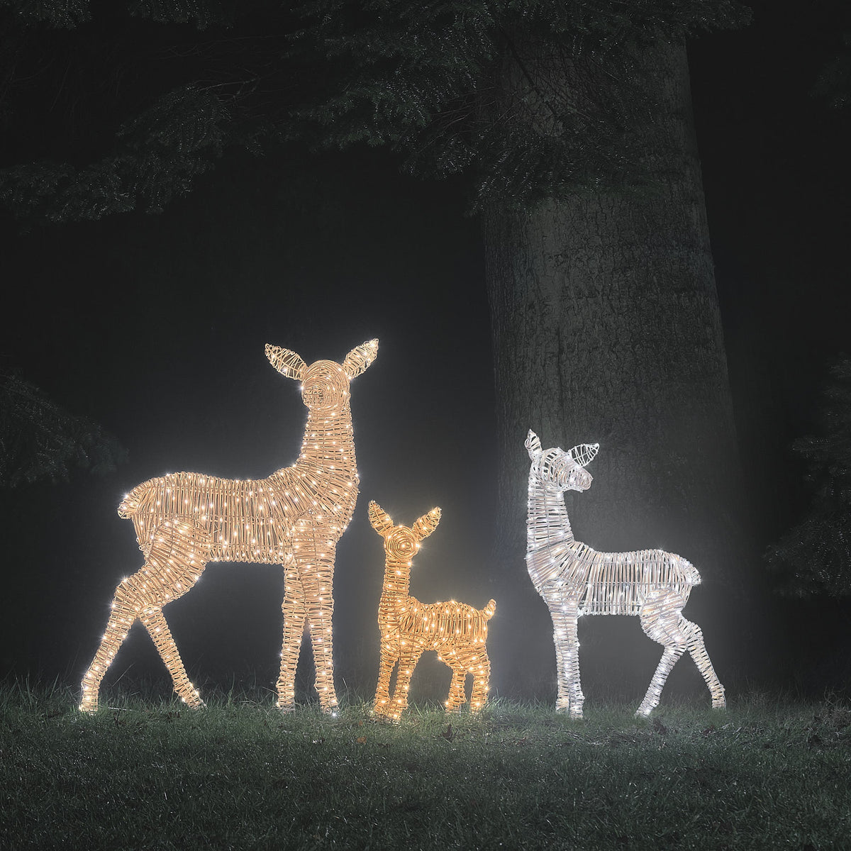 Leyburn Dual LED Rattan XL Doe, XL Fawn & Regular Fawn Light Up Reindeer Family