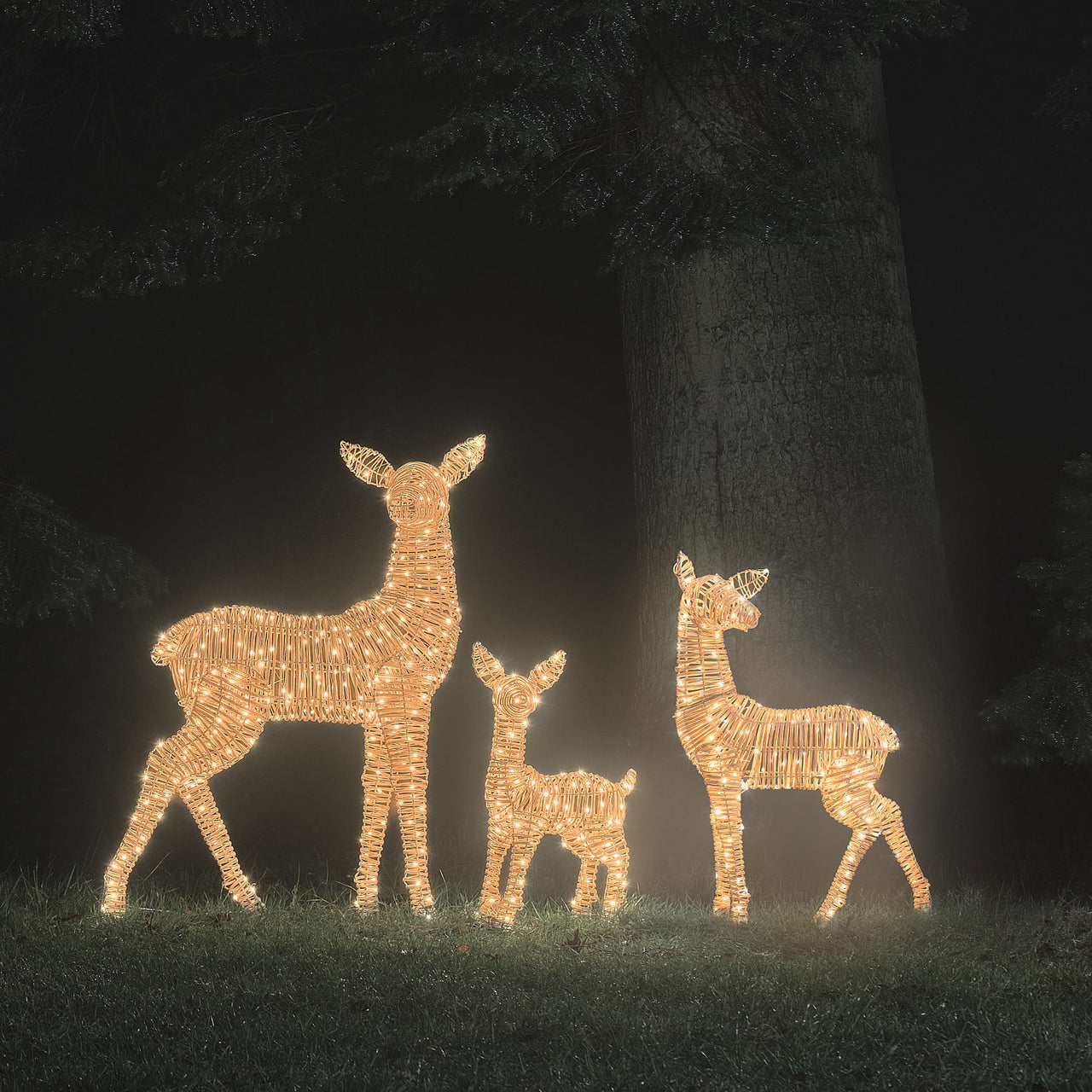 Leyburn Dual LED Rattan XL Doe, XL Fawn & Regular Fawn Light Up Reindeer Family
