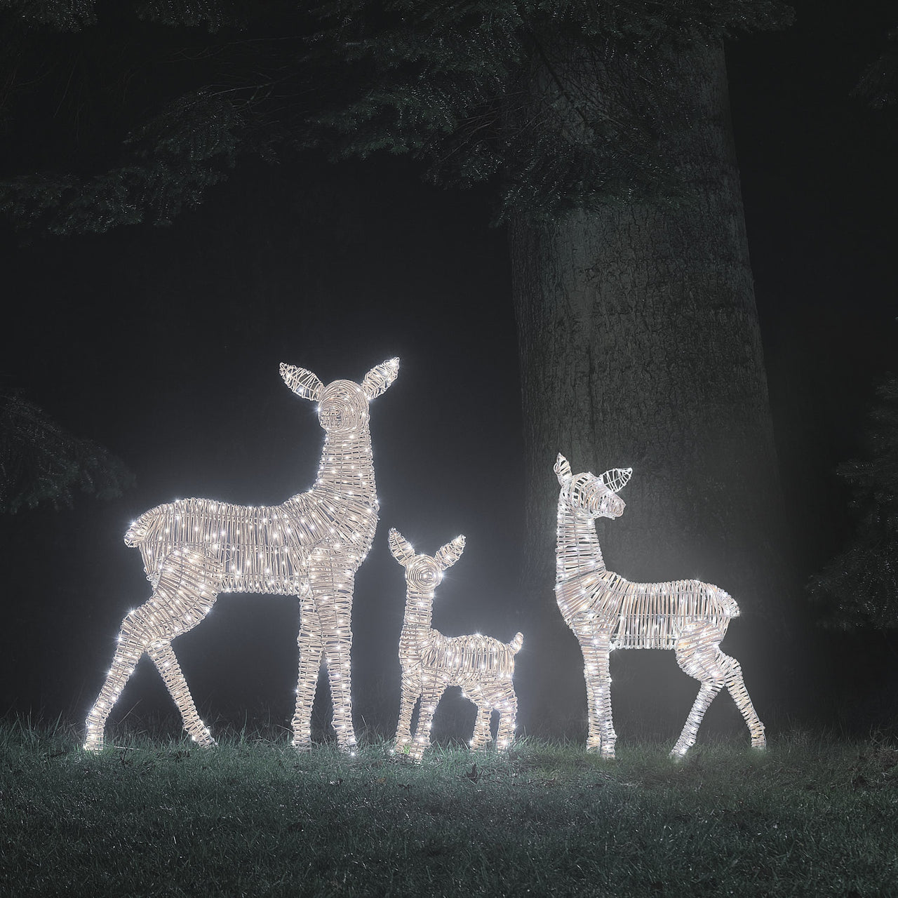 Leyburn Dual LED Rattan XL Doe, XL Fawn & Regular Fawn Light Up Reindeer Family