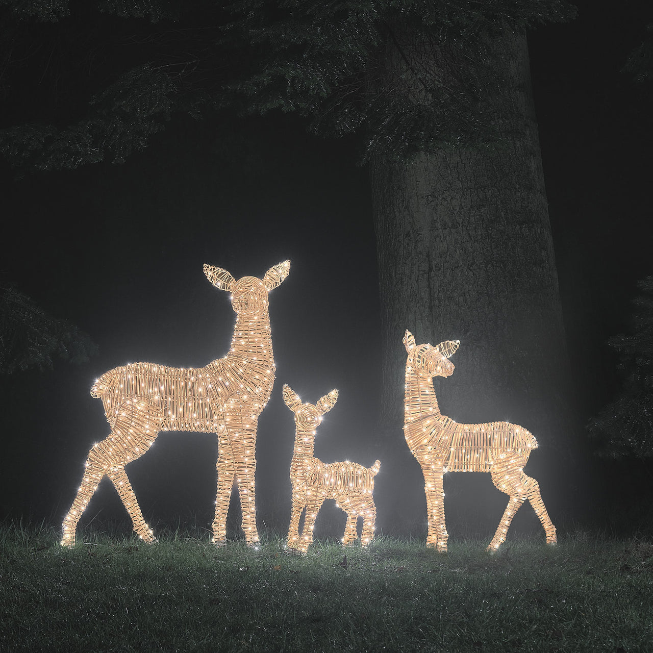 Leyburn Dual LED Rattan XL Doe, XL Fawn & Regular Fawn Light Up Reindeer Family