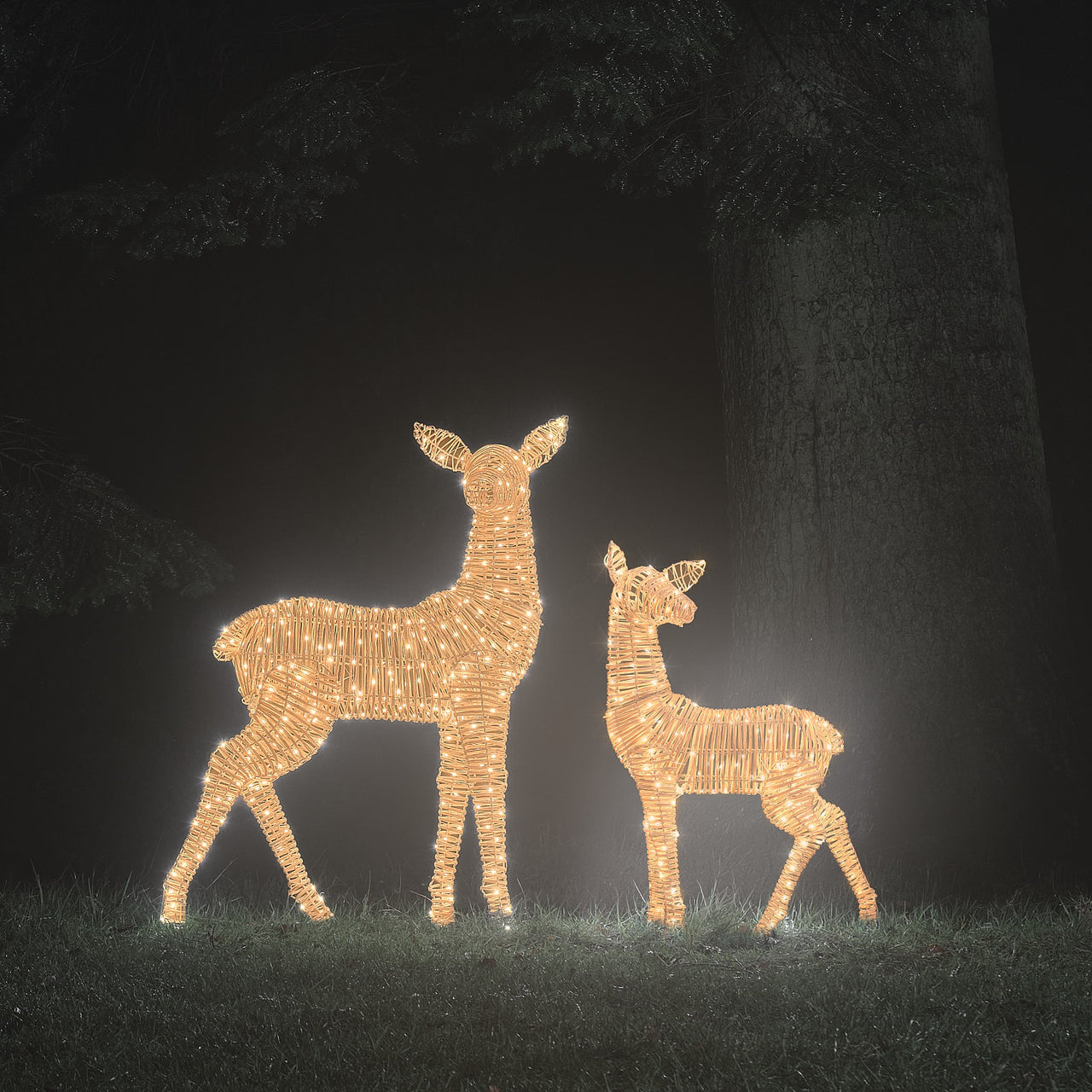 XL Leyburn Dual LED Rattan Fawn & Doe Light Up Reindeer Duo