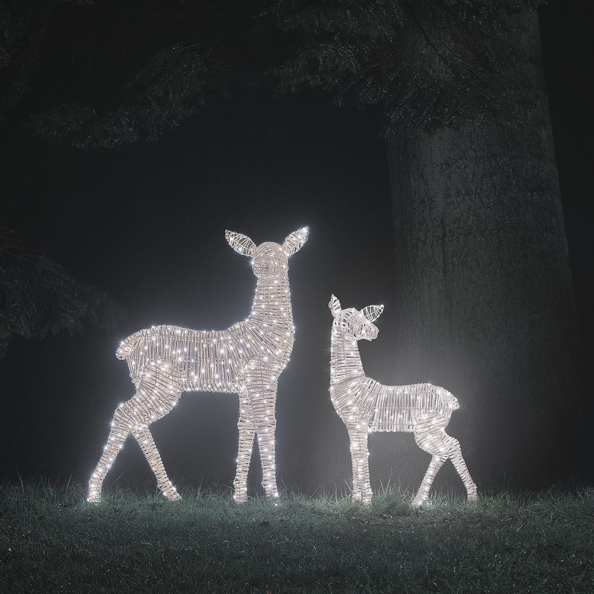 XL Leyburn Dual LED Rattan Fawn & Doe Light Up Reindeer Duo