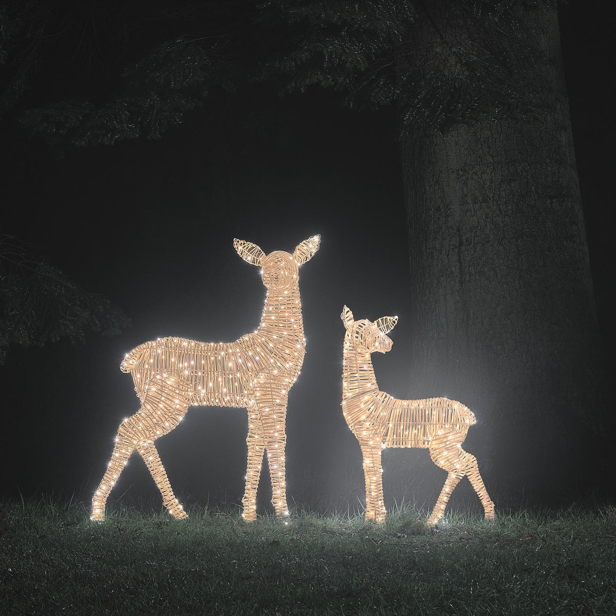 XL Leyburn Dual LED Rattan Fawn & Doe Light Up Reindeer Duo