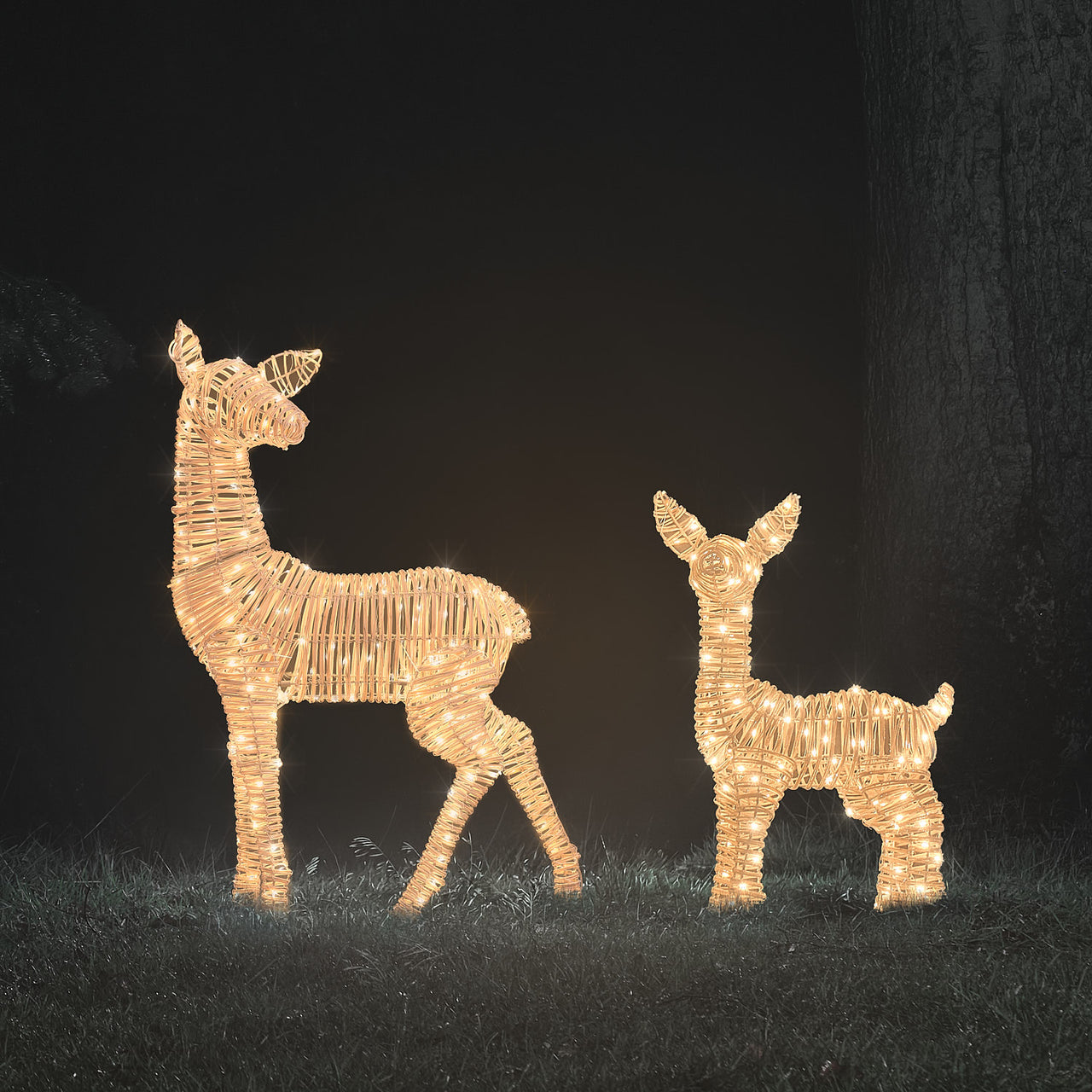 Leyburn XL & Regular Light Brown Fawn Light Up Reindeer Duo