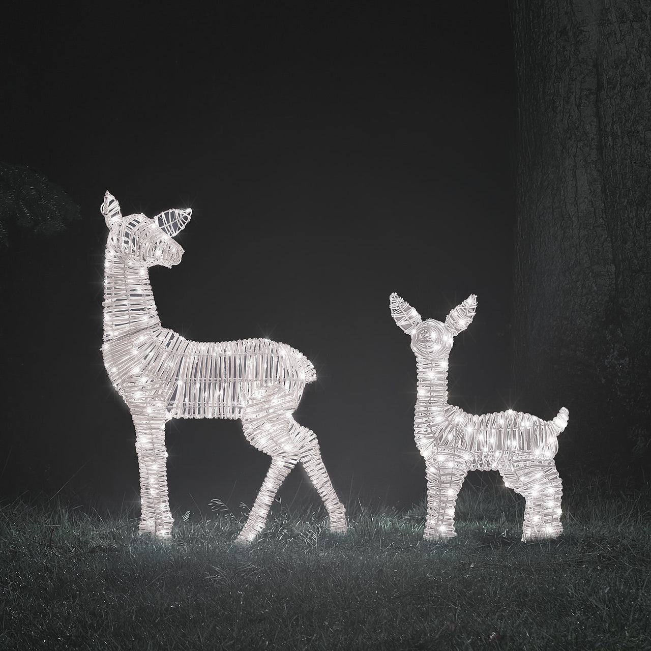 Leyburn XL & Regular Light Brown Fawn Light Up Reindeer Duo