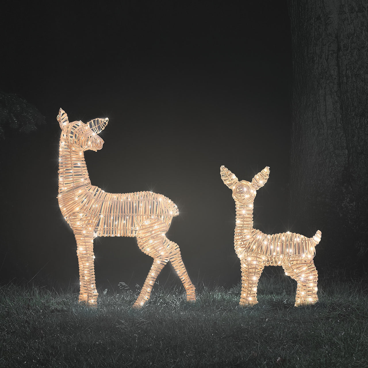 Leyburn XL & Regular Light Brown Fawn Light Up Reindeer Duo