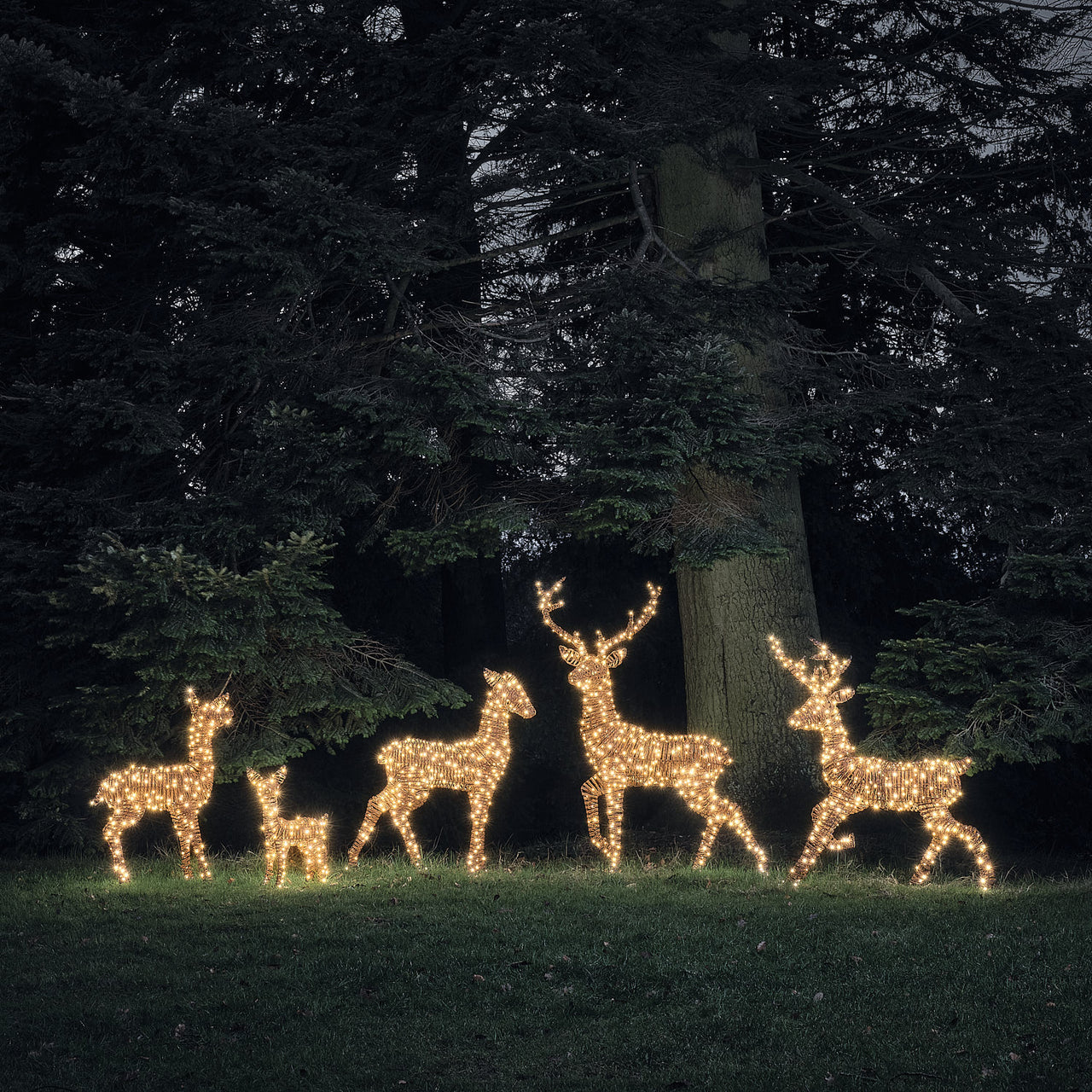 Set of 5 Pateley Dual LED Light Up Reindeer Family