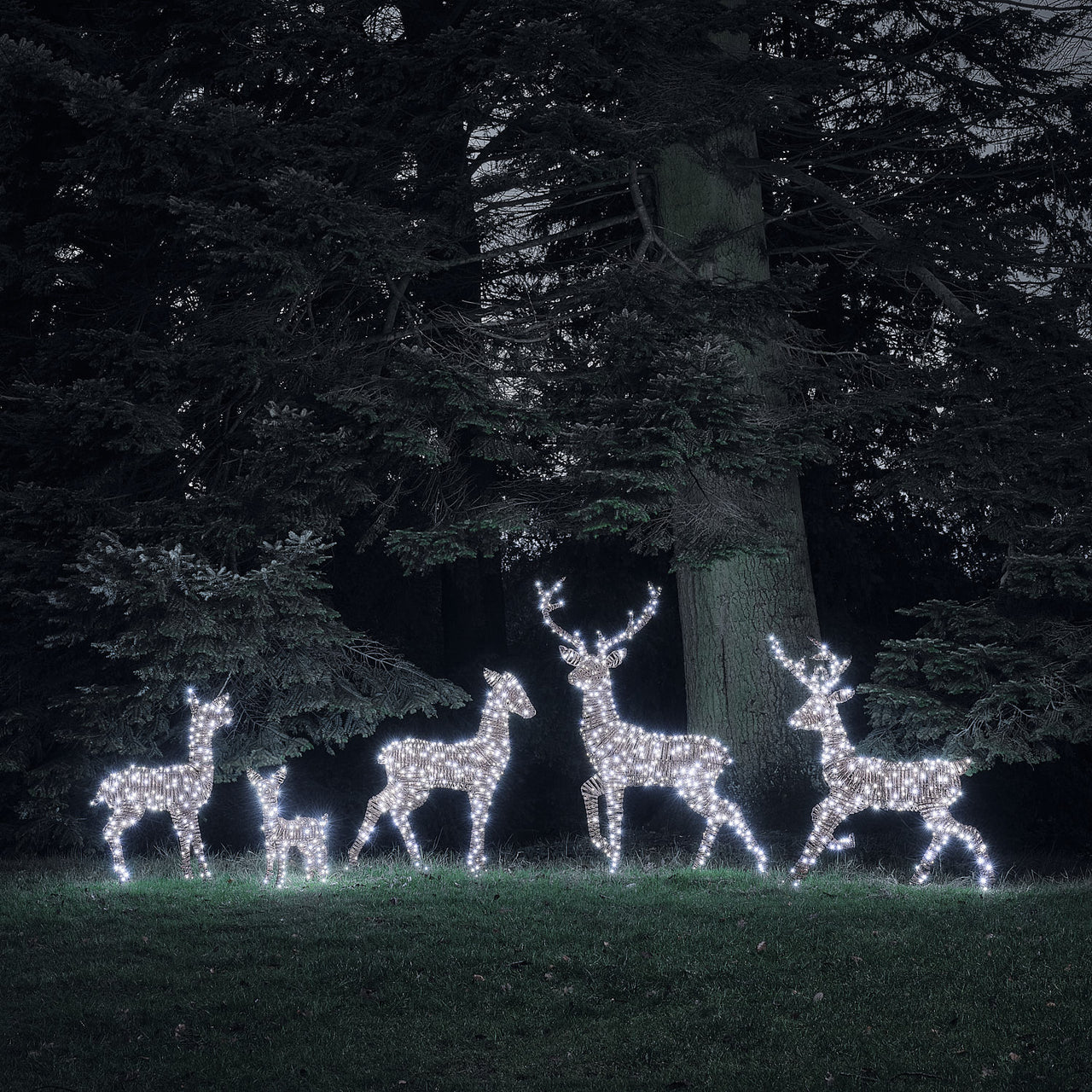Set of 5 Pateley Dual LED Light Up Reindeer Family