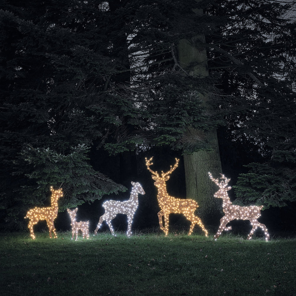 Set of 5 Pateley Dual LED Light Up Reindeer Family