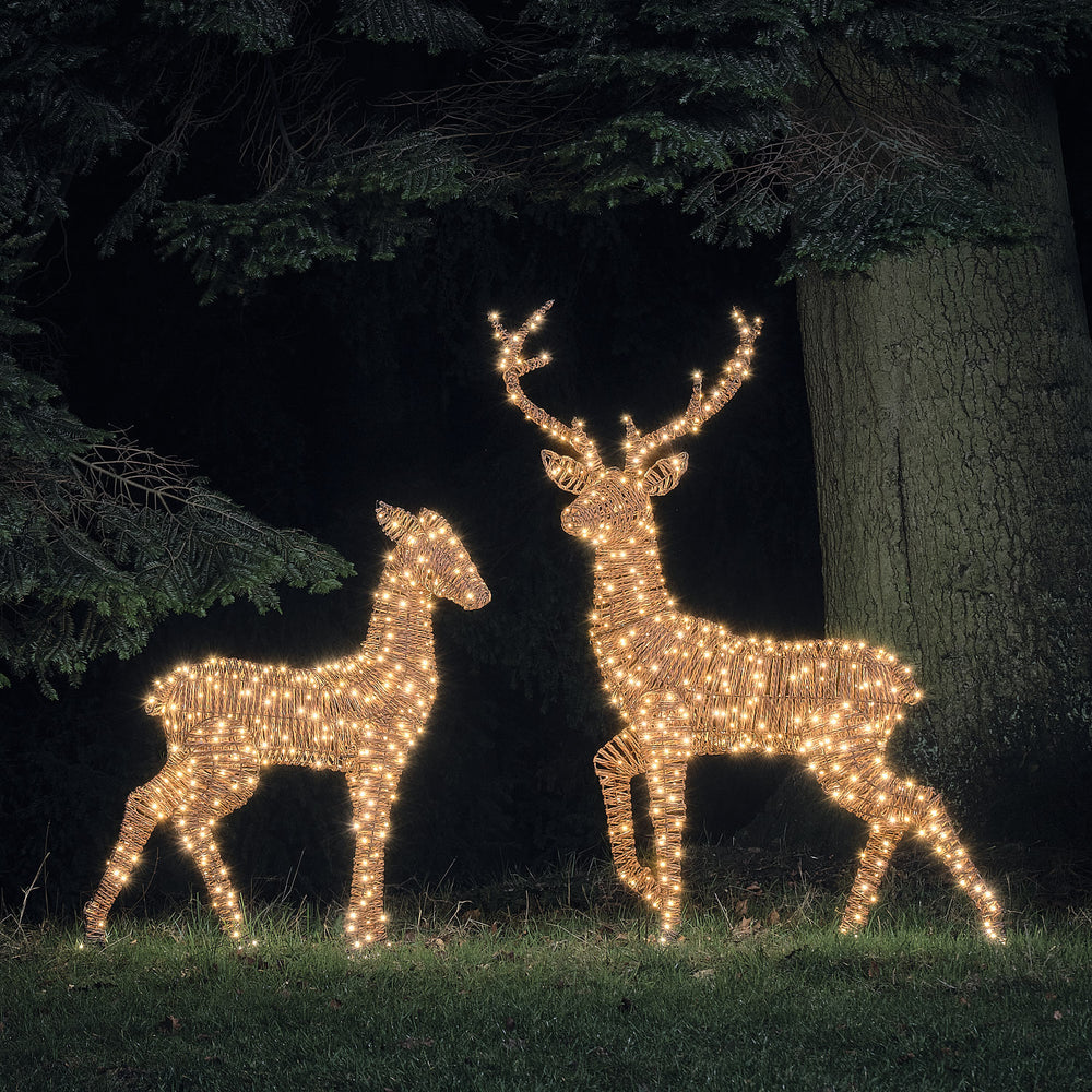 XL Pateley Dual LED Stag & Doe Light Up Reindeer Duo