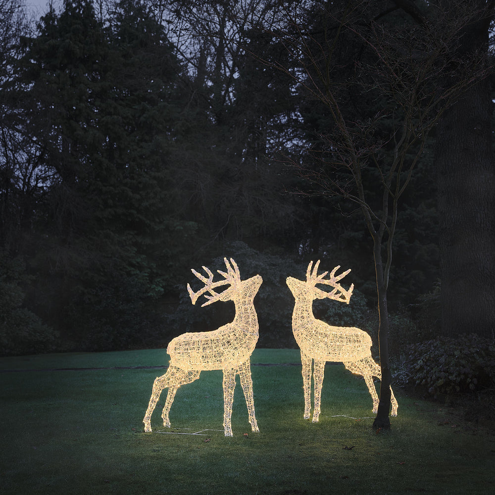 XL Swinsty Dual LED Acrylic Stags Light Up Reindeer Duo