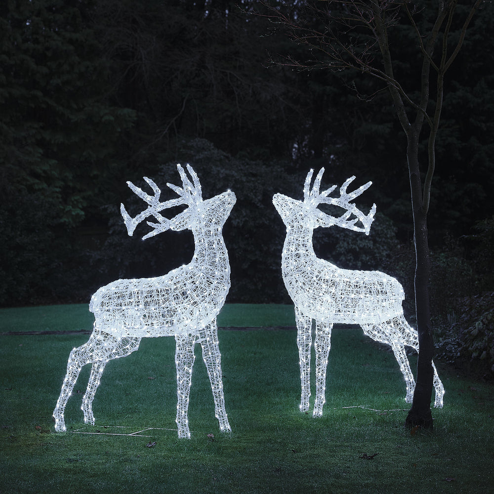 XL Swinsty Dual LED Acrylic Stags Light Up Reindeer Duo
