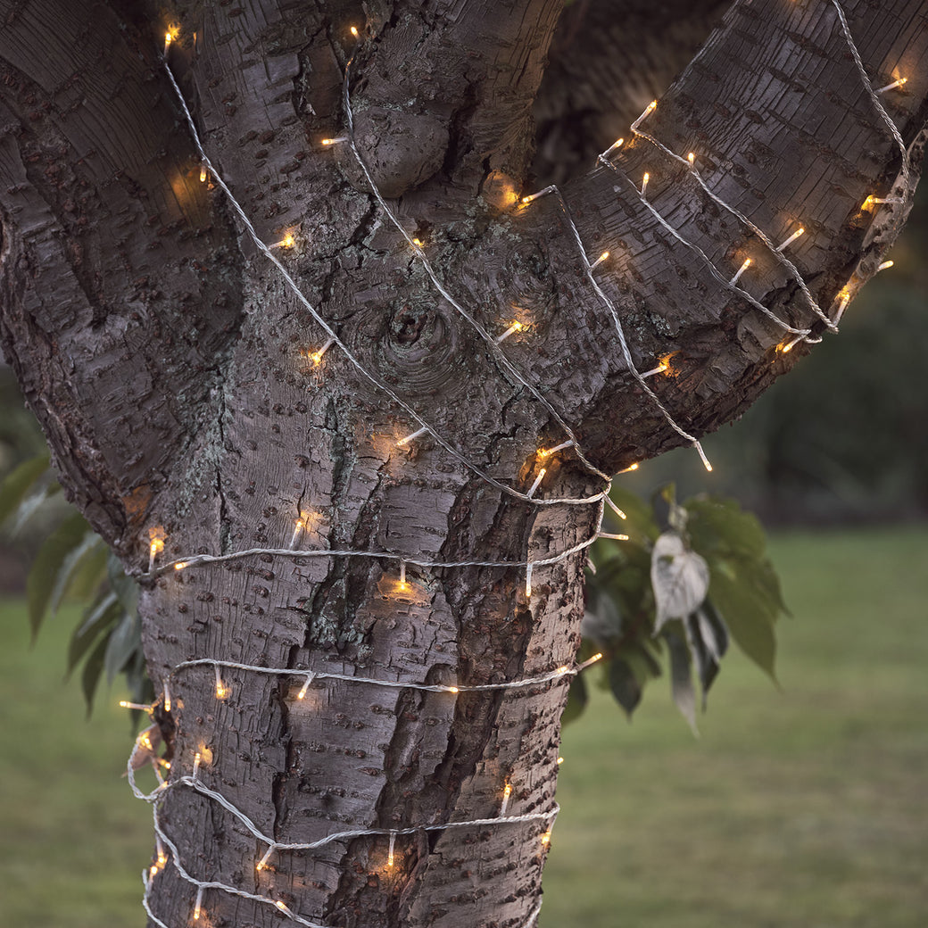 Tree wrapped in fairy lights