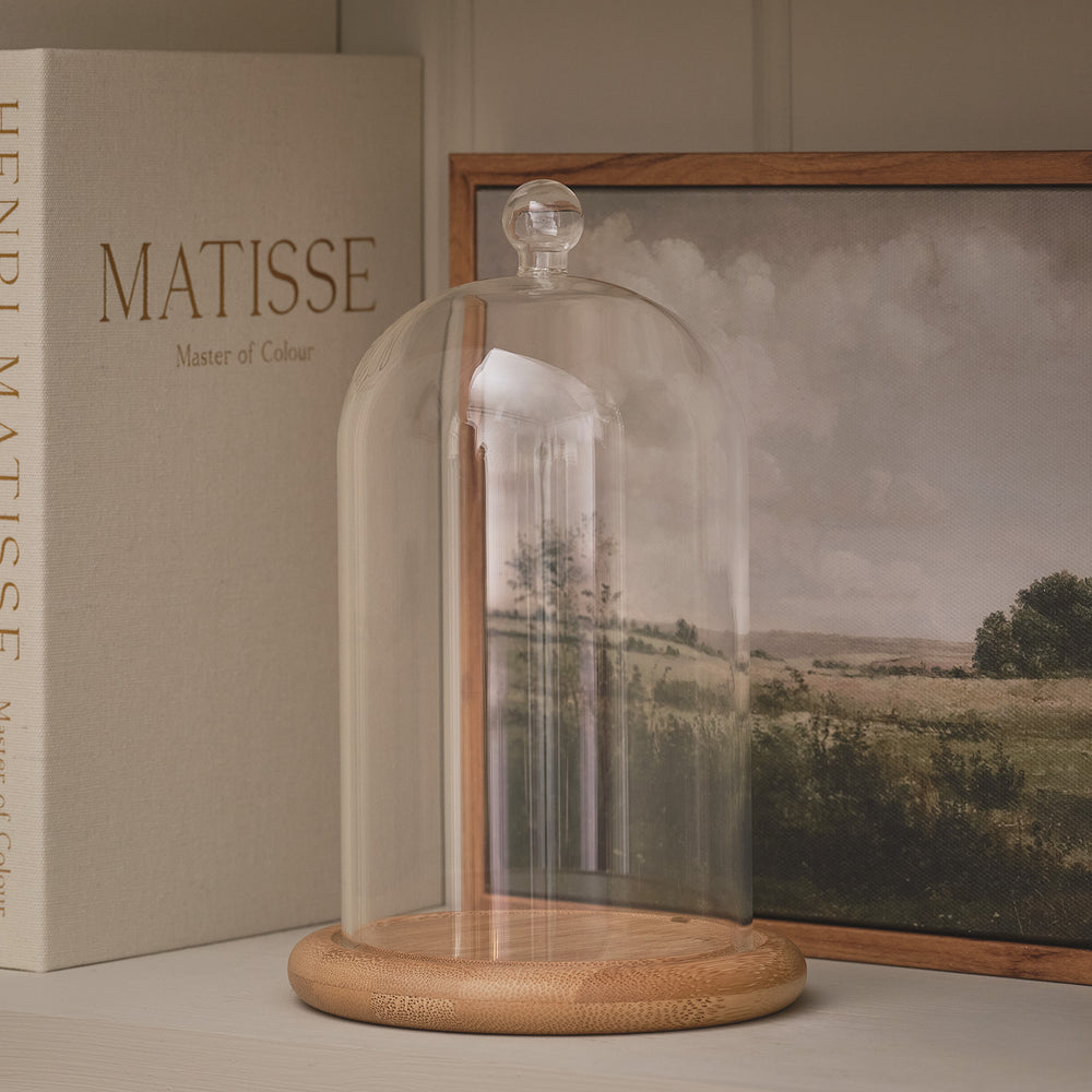 Regular Glass Dome Bell Jar 20cm