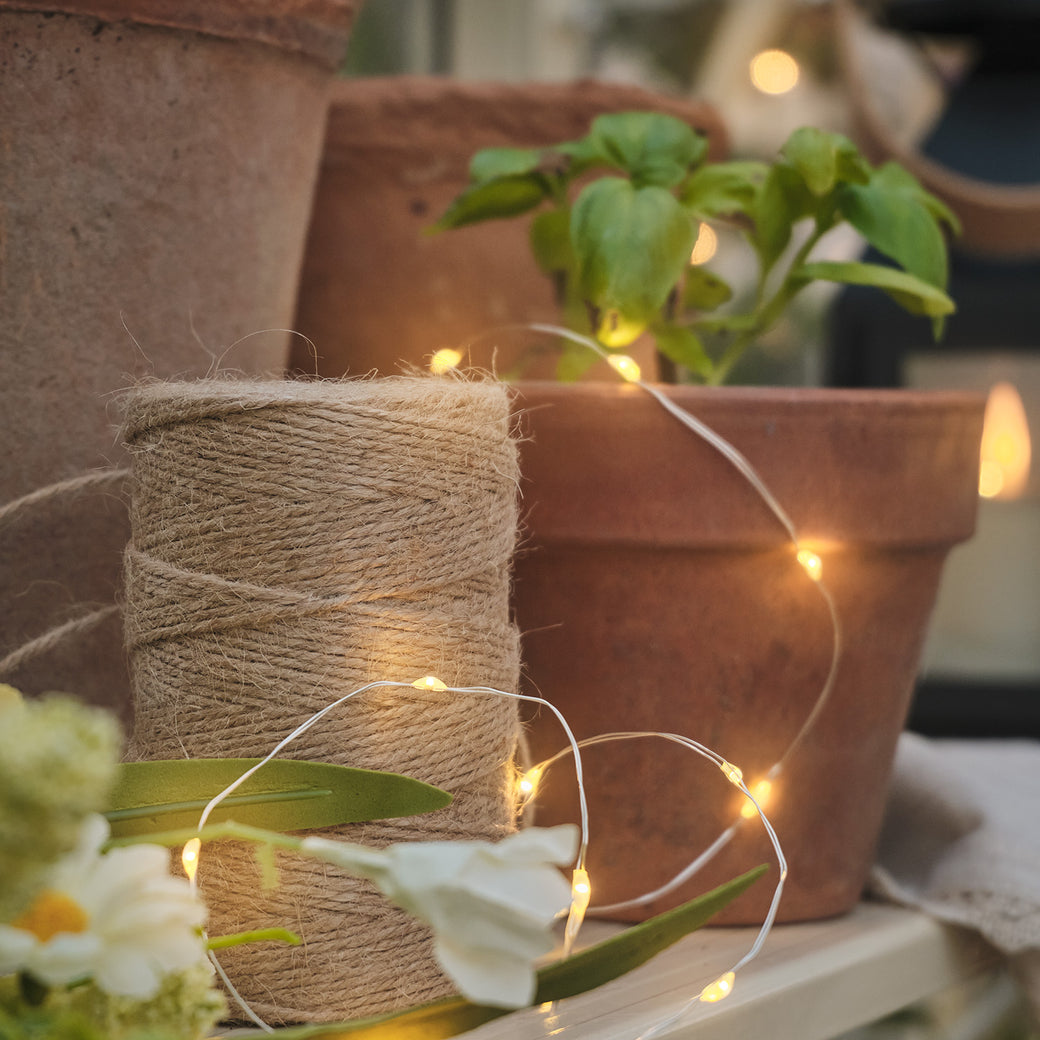 Micro lights wrapped round a plant pot