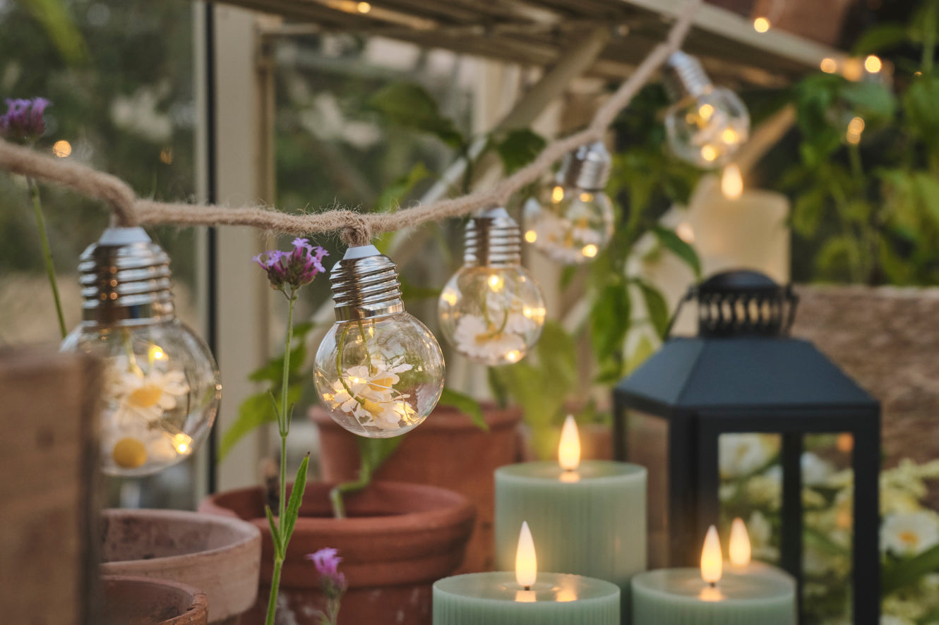 Daisy festoon lights hung up in a greenhouse