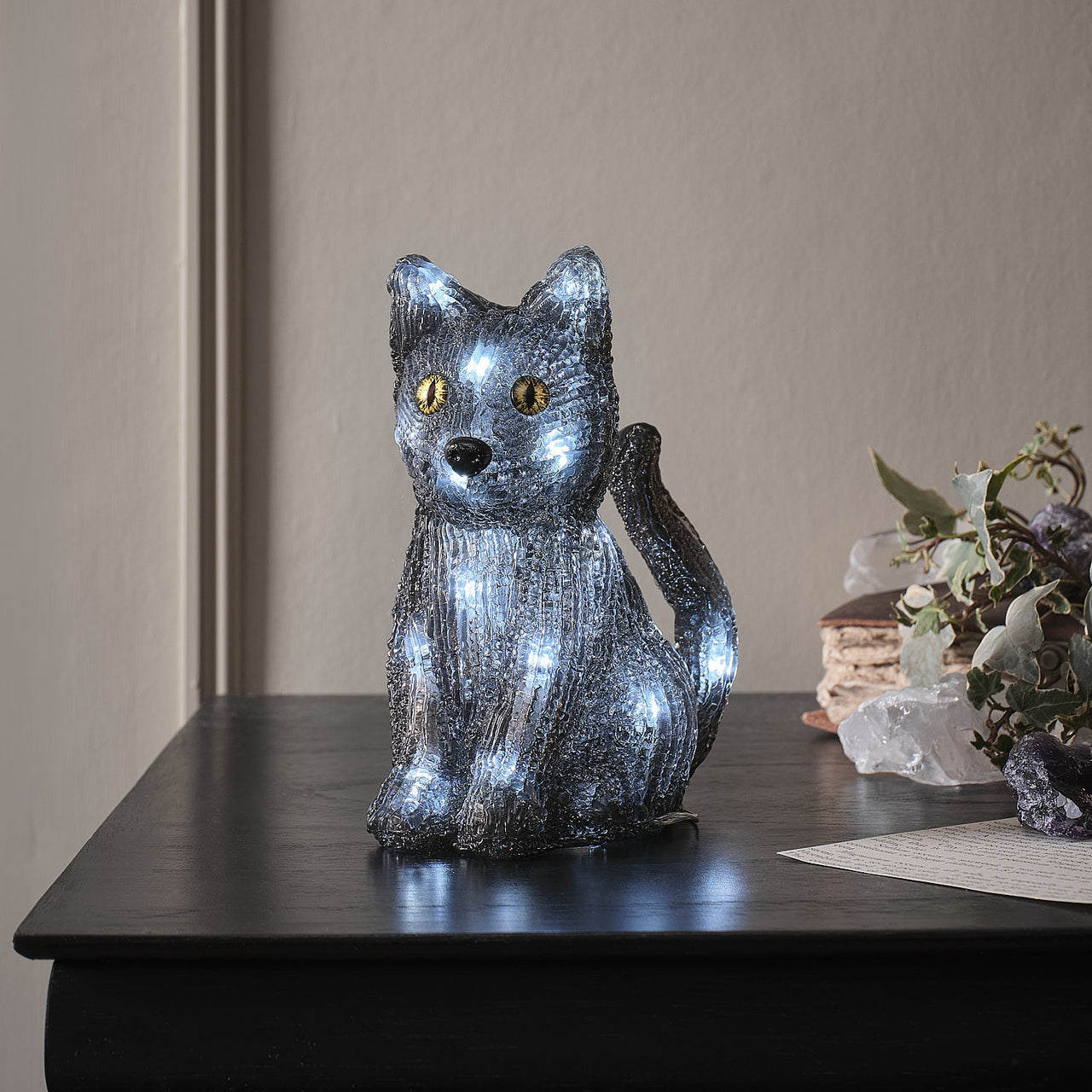 Witches Hat & Jet the Black Cat LED 3D Acrylic Figures