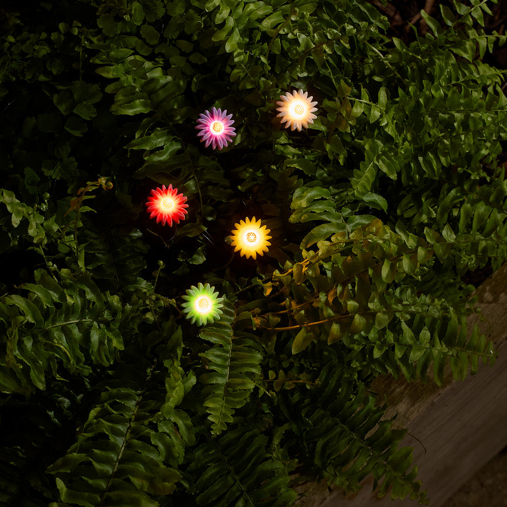5 Mini Flower Solar Stake Lights