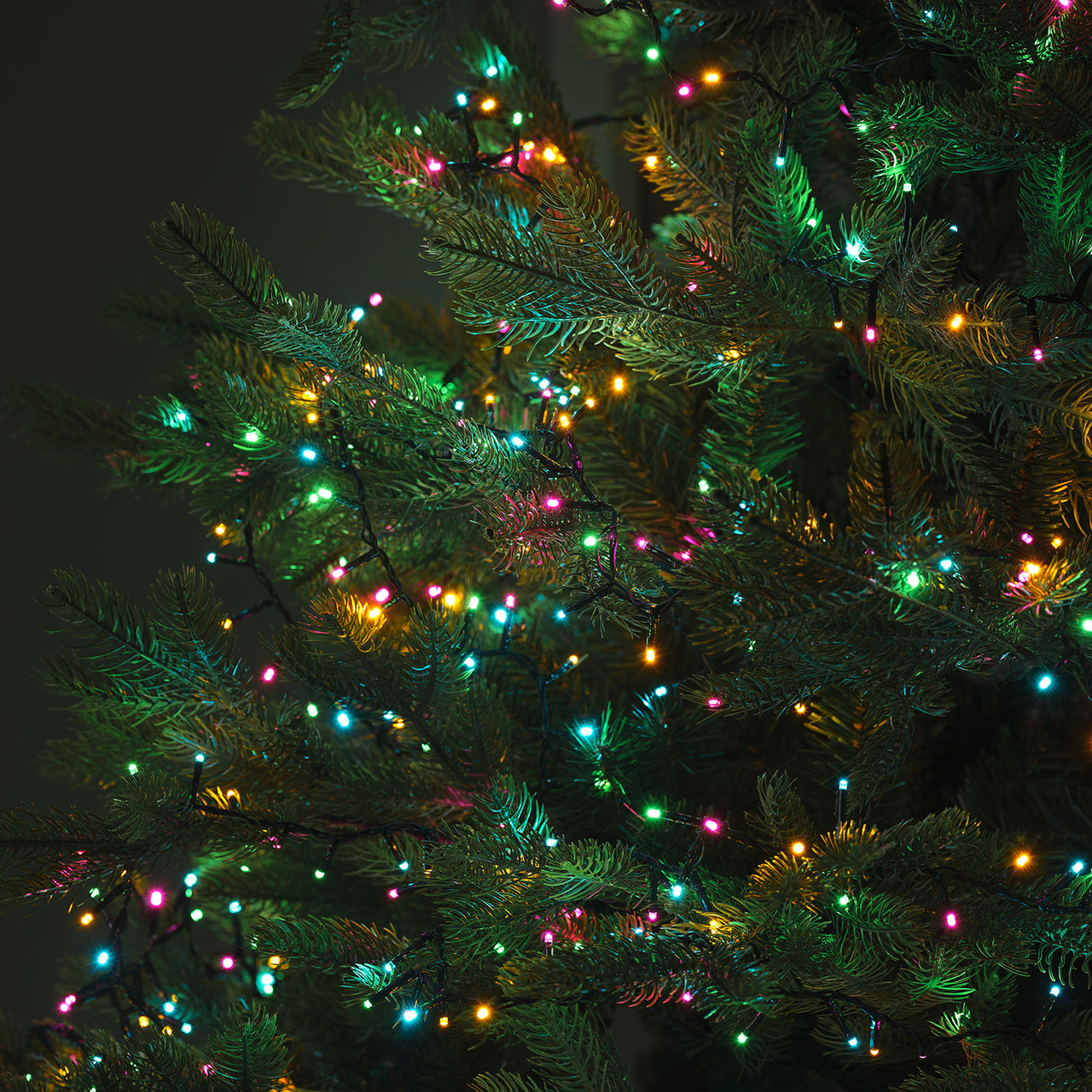 1000 Soft Multi Coloured LED Compact Lights