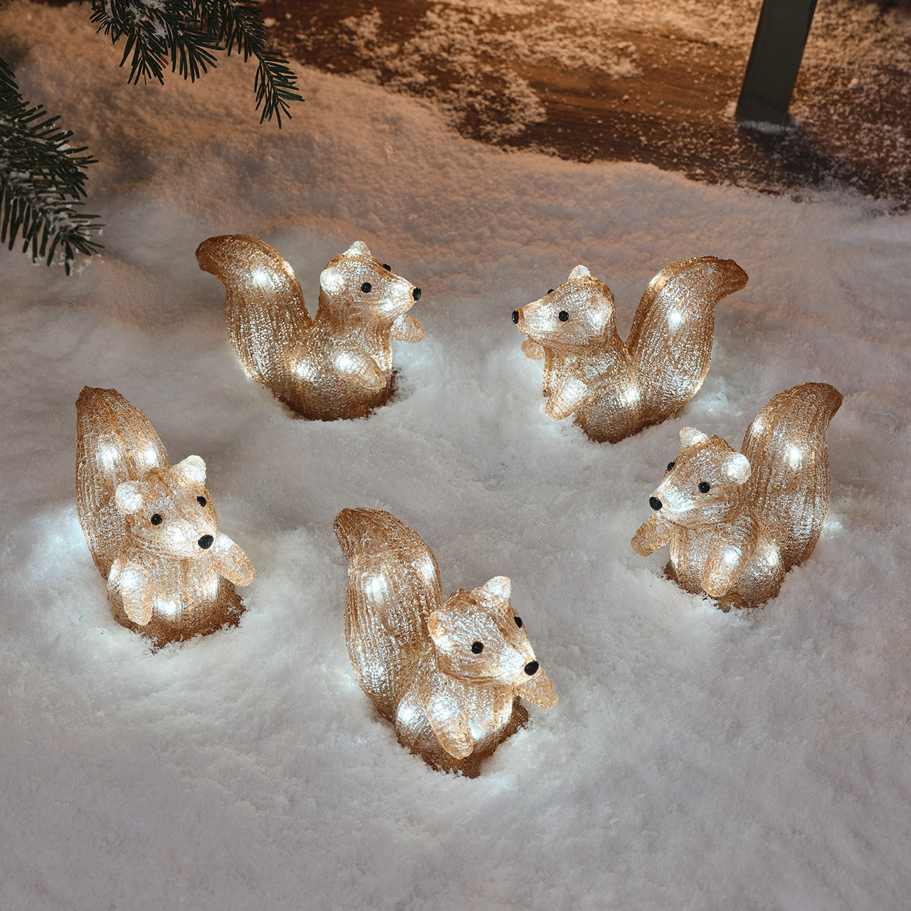 5 Acrylic Squirrel LED Christmas Figures