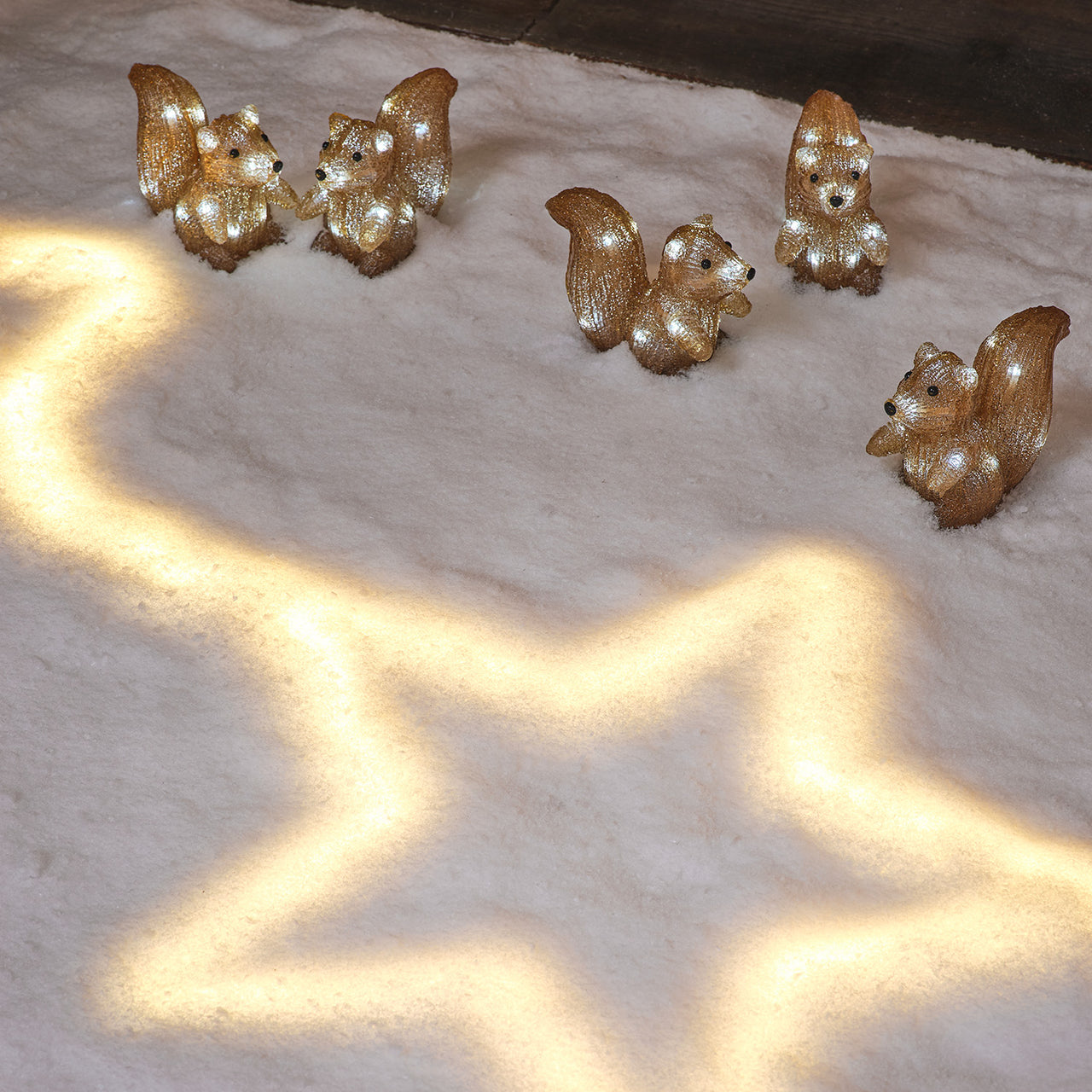 5 Acrylic Squirrel LED Christmas Figures